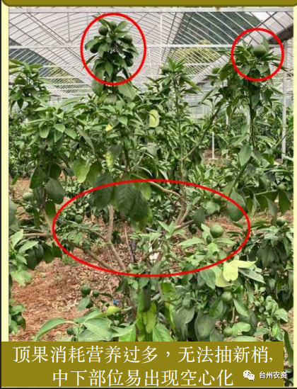 臺州農(nóng)資 臺州農(nóng)資