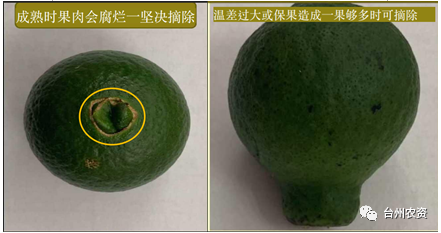 臺州農(nóng)資 臺州農(nóng)資