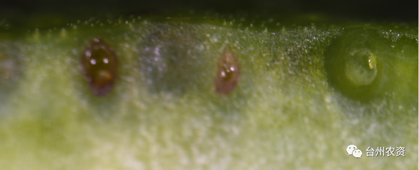 1675666616470638.png 640 (54).png