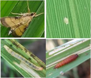 臺州農資 臺州農資