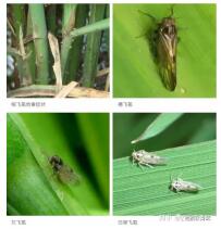 臺州農資 臺州農資