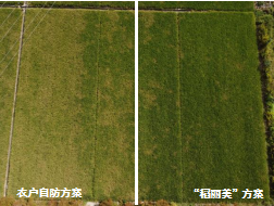 臺(tái)州農(nóng)資 臺(tái)州農(nóng)資